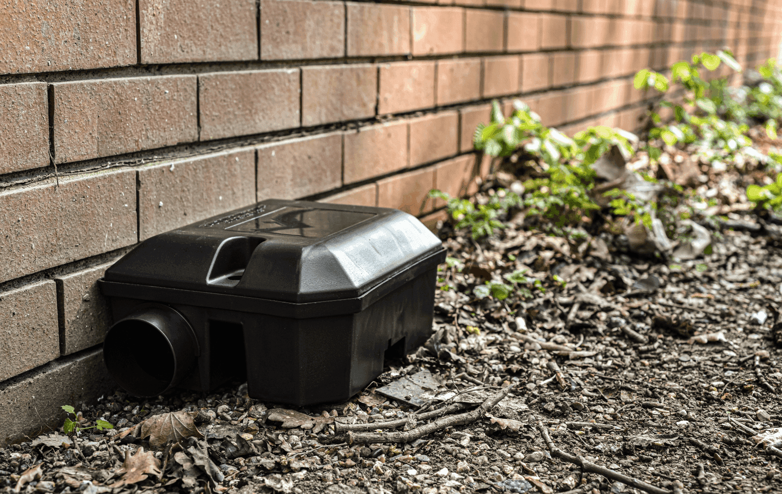 a bait station outside a home